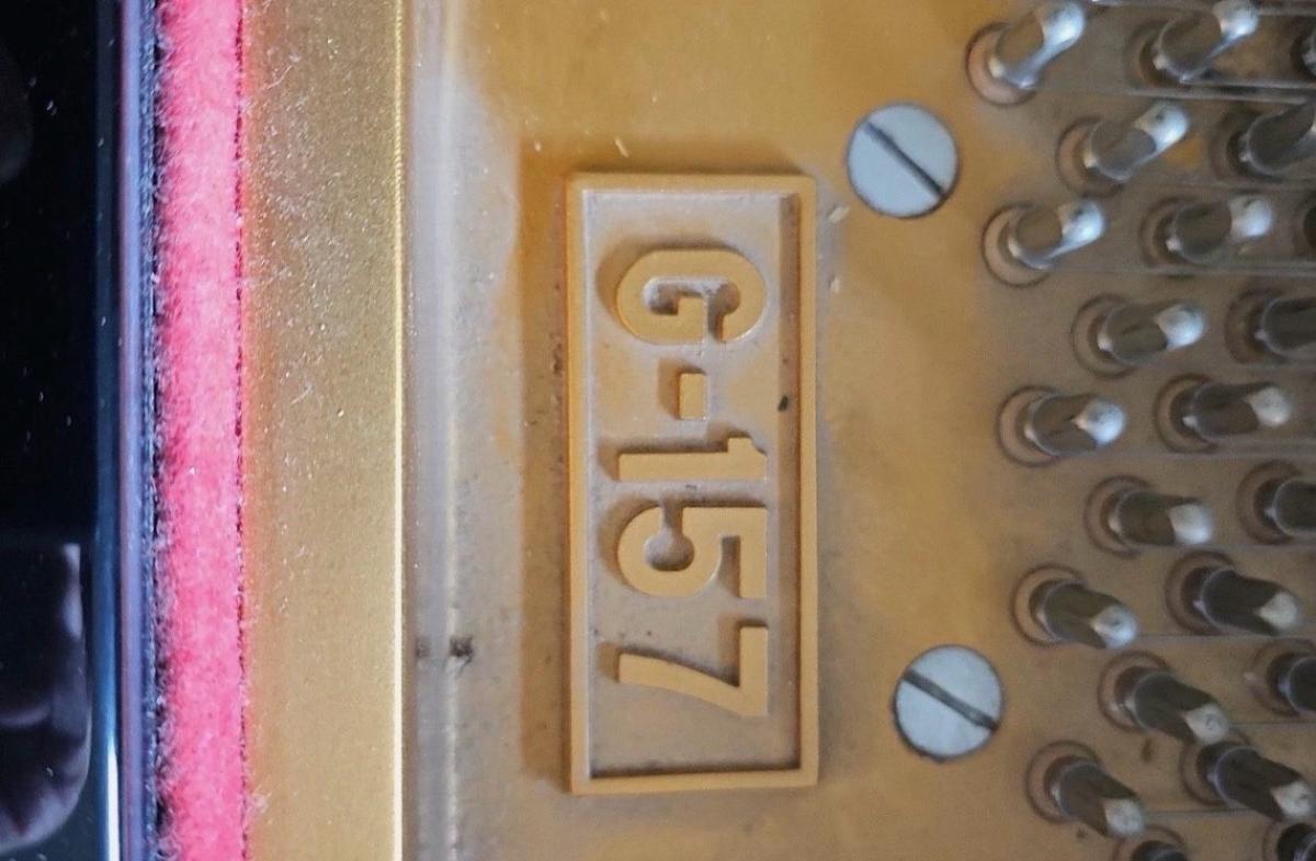 Young Chang G157 Satin Ebony Polish BabyGrand Piano 52 - Alicia, Arkansas - Mi Mercado