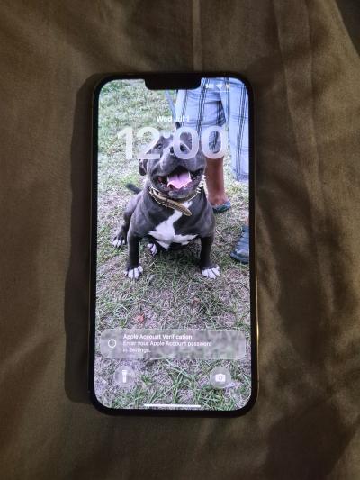 iPhone for sale 13 pro masc - Thumbnail 2